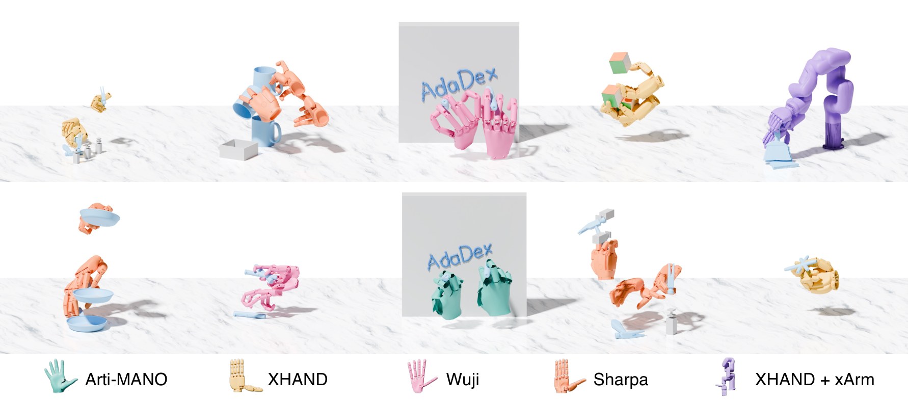 AdaDex skills across robot hands